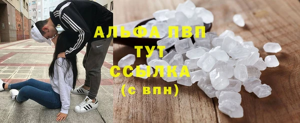 прущая мука Вязьма