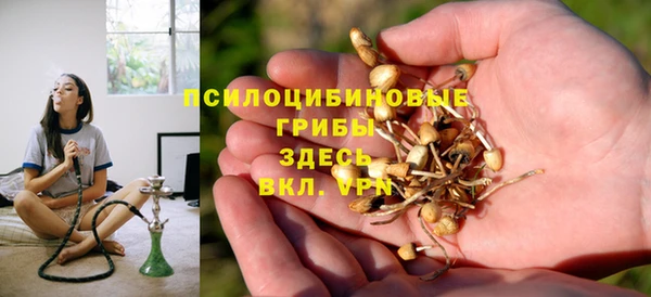 прущая мука Вязьма