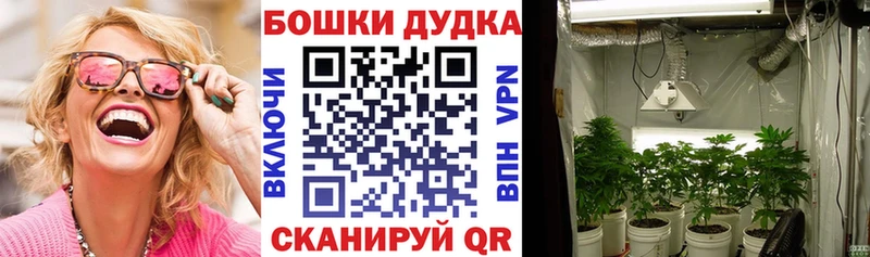 Купить  Окуловка  Каннабис AK-47 